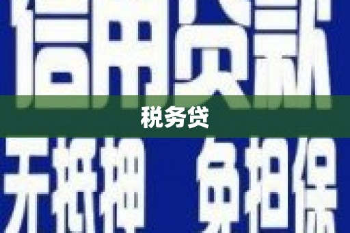茂林税务贷