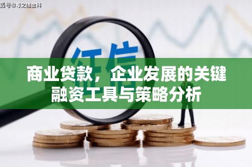 茂林商业贷款，企业发展的关键融资工具与策略分析