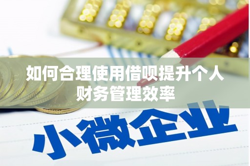 茂林如何合理使用借呗提升个人财务管理效率