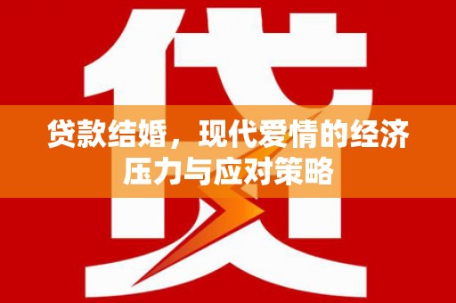 茂林贷款结婚，现代爱情的经济压力与应对策略