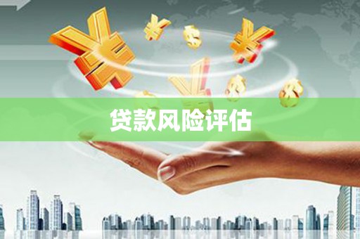 茂林贷款风险评估