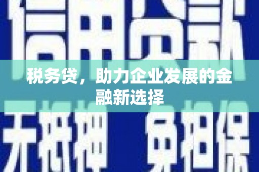 茂林税务贷，助力企业发展的金融新选择