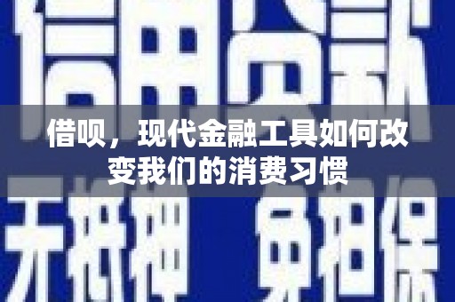 茂林借呗，现代金融工具如何改变我们的消费习惯
