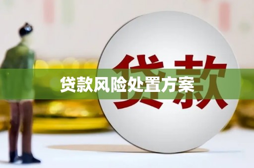茂林贷款风险处置方案
