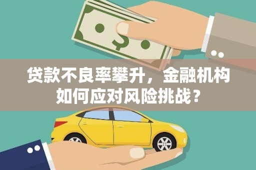 茂林贷款不良率攀升，金融机构如何应对风险挑战？