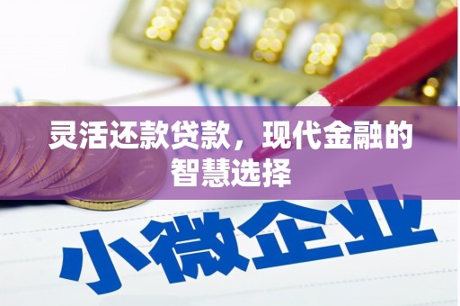 茂林灵活还款贷款，现代金融的智慧选择