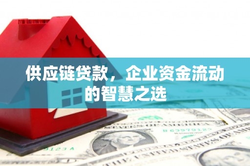 茂林供应链贷款，企业资金流动的智慧之选