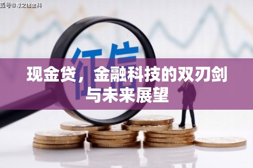 茂林现金贷，金融科技的双刃剑与未来展望