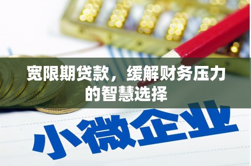 茂林宽限期贷款，缓解财务压力的智慧选择