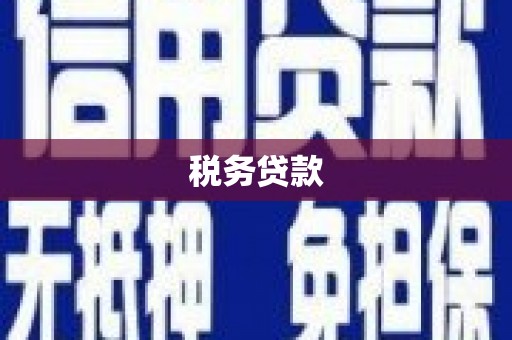 茂林税务贷款