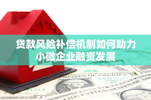 茂林贷款风险补偿机制如何助力小微企业融资发展