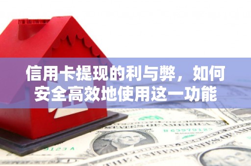 茂林信用卡提现的利与弊，如何安全高效地使用这一功能