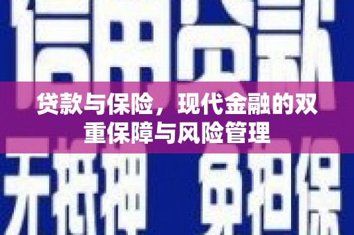 茂林贷款与保险，现代金融的双重保障与风险管理