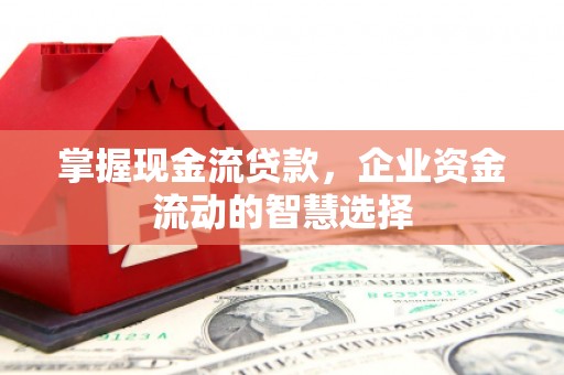 茂林掌握现金流贷款，企业资金流动的智慧选择
