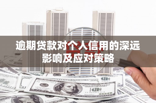 茂林逾期贷款对个人信用的深远影响及应对策略