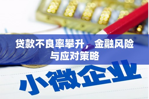 茂林贷款不良率攀升，金融风险与应对策略
