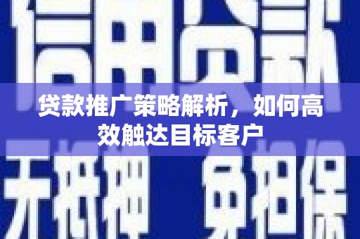 茂林贷款推广策略解析，如何高效触达目标客户
