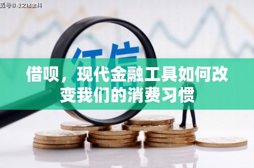 茂林借呗，现代金融工具如何改变我们的消费习惯