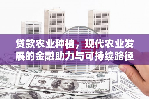 茂林贷款农业种植，现代农业发展的金融助力与可持续路径