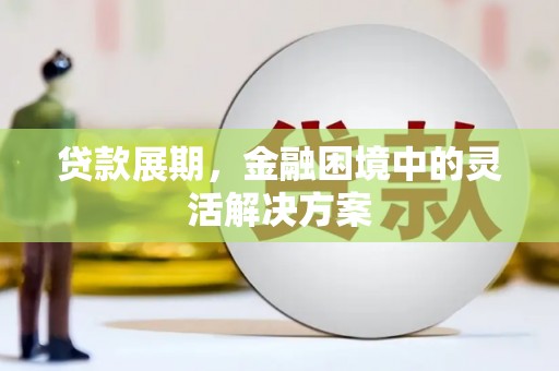 茂林贷款展期，金融困境中的灵活解决方案