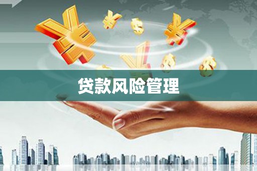 茂林贷款风险管理