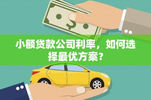茂林小额贷款公司利率，如何选择最优方案？