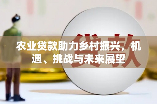 茂林农业贷款助力乡村振兴，机遇、挑战与未来展望