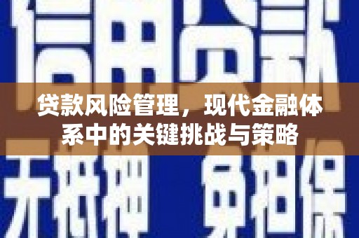 茂林贷款风险管理，现代金融体系中的关键挑战与策略