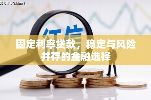茂林固定利率贷款，稳定与风险并存的金融选择
