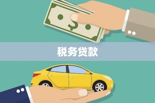 茂林税务贷款