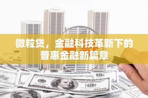茂林微粒贷，金融科技革新下的普惠金融新篇章