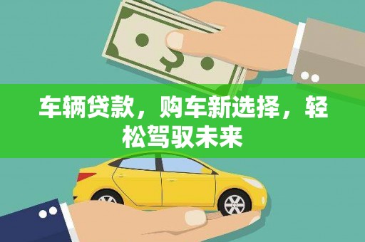 茂林车辆贷款，购车新选择，轻松驾驭未来