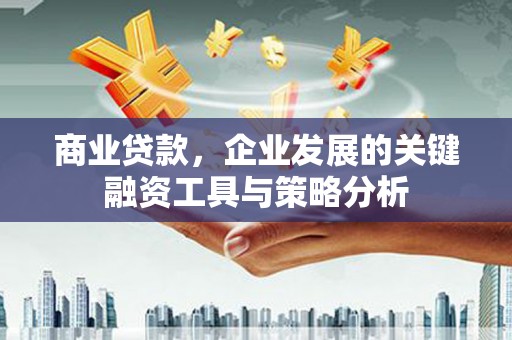 茂林商业贷款，企业发展的关键融资工具与策略分析