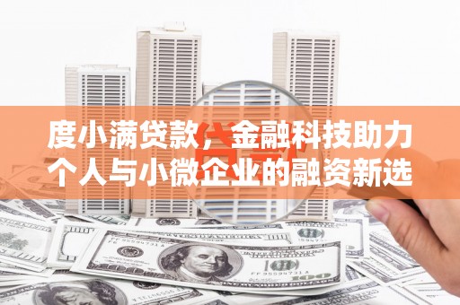 茂林度小满贷款，金融科技助力个人与小微企业的融资新选择