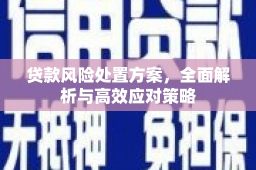 茂林贷款风险处置方案，全面解析与高效应对策略