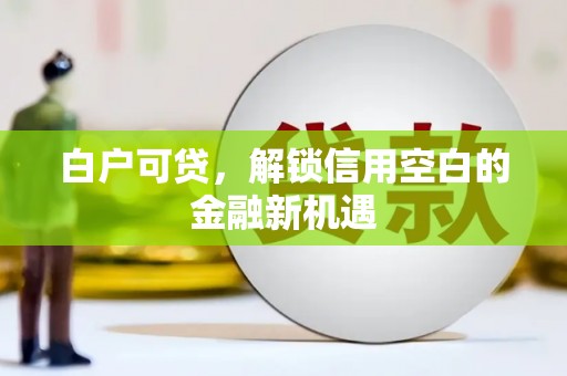 茂林白户可贷，解锁信用空白的金融新机遇