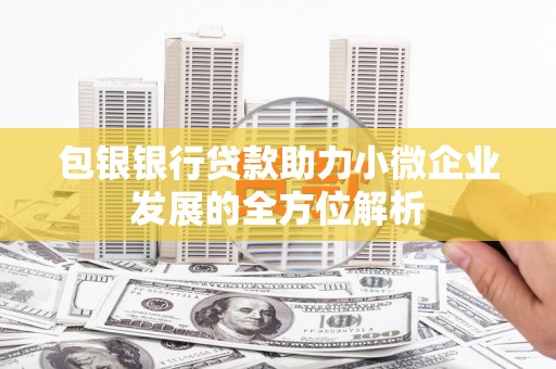 茂林包银银行贷款助力小微企业发展的全方位解析