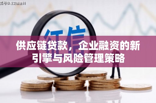 茂林供应链贷款，企业融资的新引擎与风险管理策略