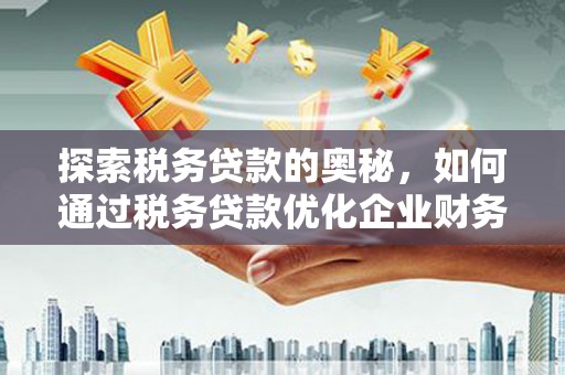 茂林探索税务贷款的奥秘，如何通过税务贷款优化企业财务