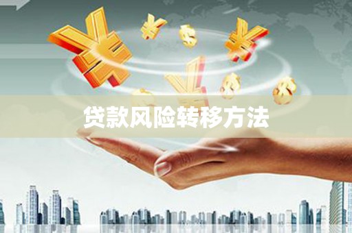 茂林贷款风险转移方法