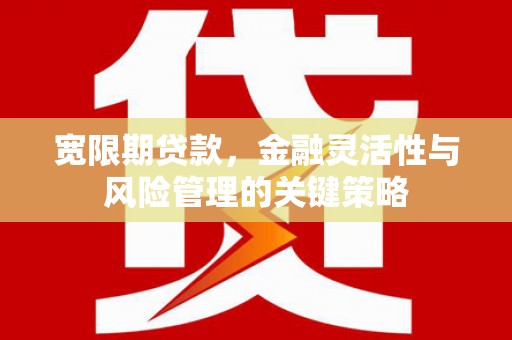 茂林宽限期贷款，金融灵活性与风险管理的关键策略
