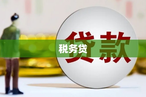茂林税务贷