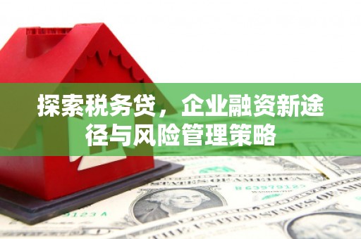 茂林探索税务贷，企业融资新途径与风险管理策略