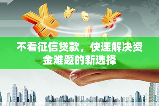 茂林不看征信贷款，快速解决资金难题的新选择