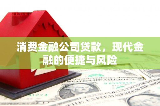 茂林消费金融公司贷款，现代金融的便捷与风险