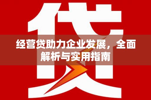 茂林经营贷助力企业发展，全面解析与实用指南