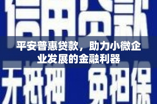 茂林平安普惠贷款，助力小微企业发展的金融利器