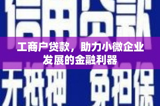 茂林工商户贷款，助力小微企业发展的金融利器