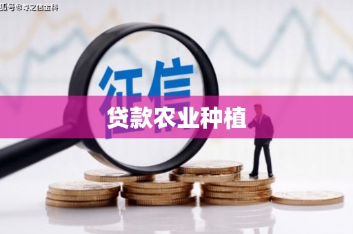 茂林贷款农业种植