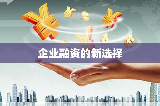 茂林企业融资的新选择